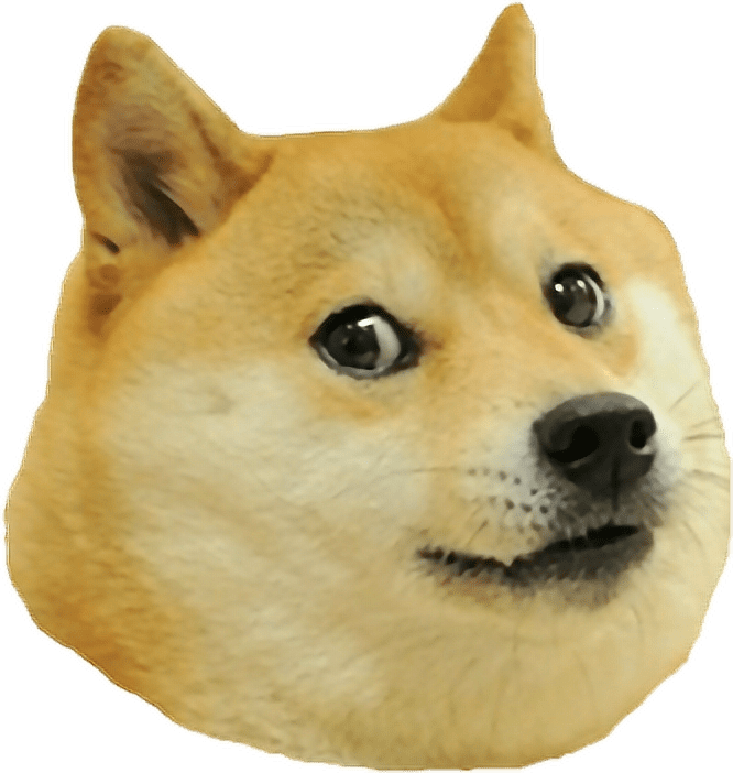 dogecoin крипто сигналы телеграм