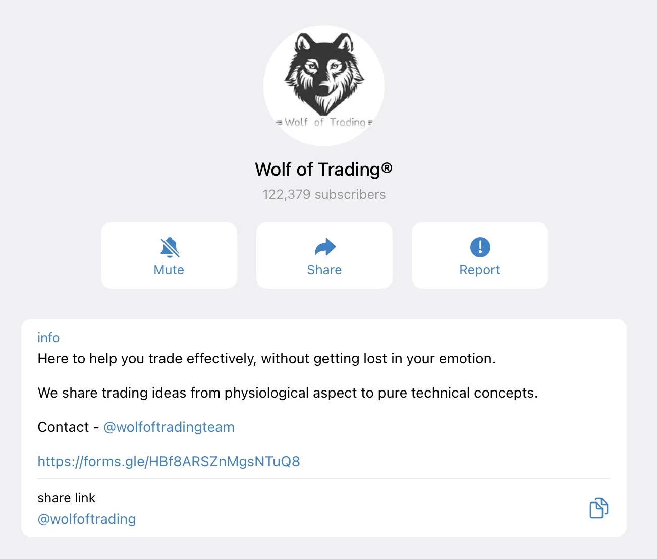 wolf of trading контакты